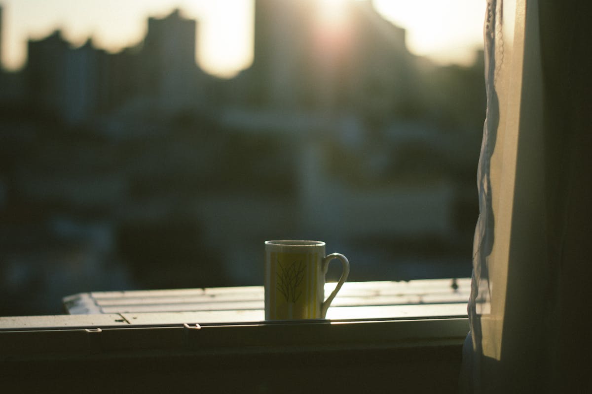 A coffee mug on a windowsill at sunrise — a quiet moment of asking where things go.