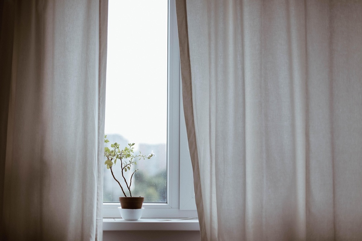 Soft daylight through a gap in pale curtains, with a small plant on the windowsill