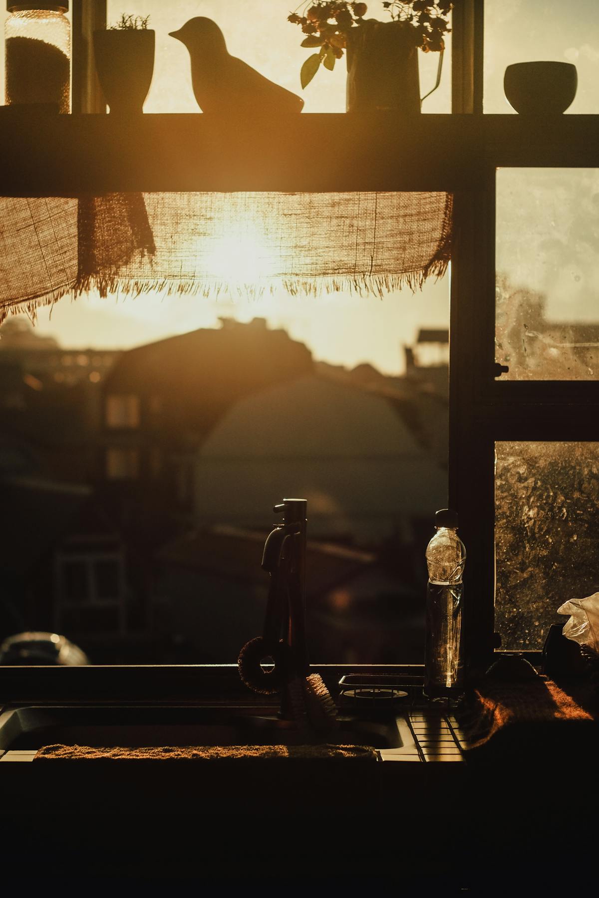 A kitchen at sunrise with plants on the counter — the small daily moments where check-ins fit.