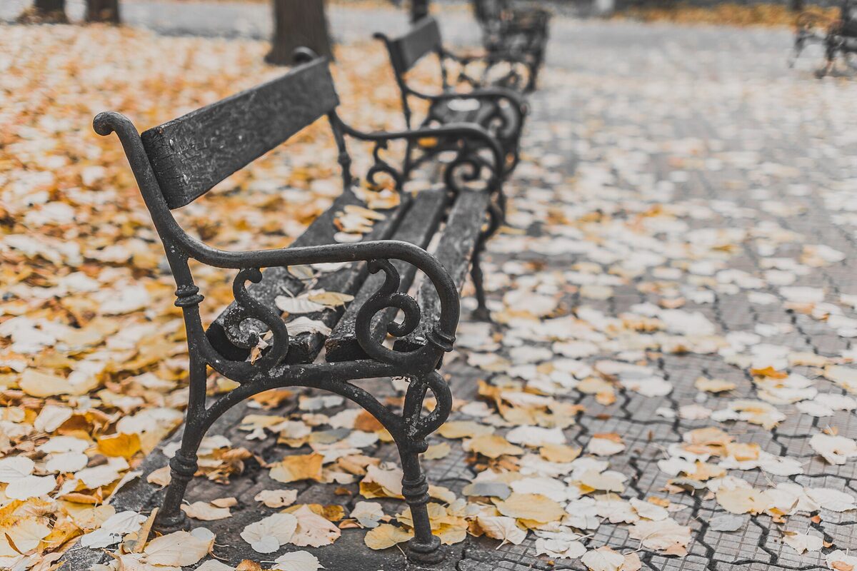 An empty bench in the late-day light — the quiet of an evening apart.